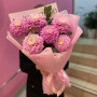 7 розовых георгин